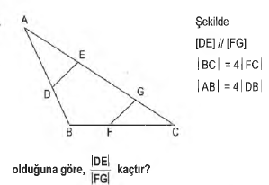 ALES Açılar ve Üçgenler Test 2