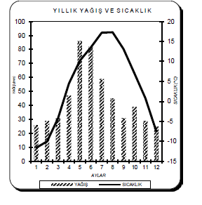 Genel Kültür Deneme Sınavı 