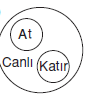 LYS MANTIĞA GİRİŞ – KLASİK MANTIK-2